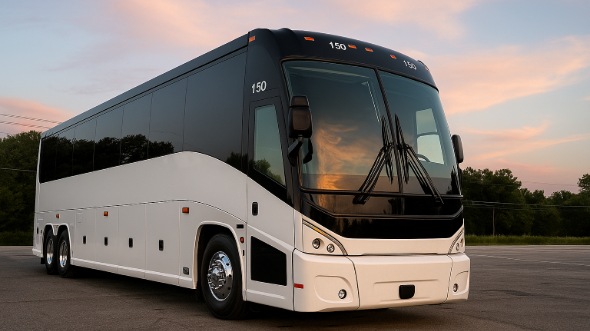 dearborn heights wedding transportation